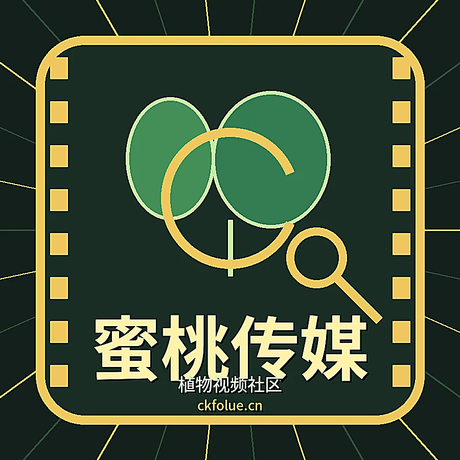 蜜桃传媒
